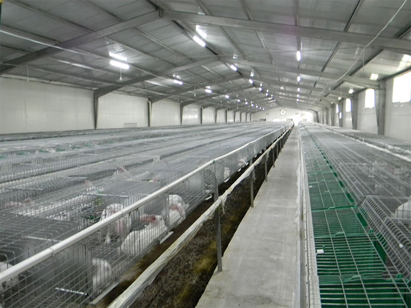 養(yǎng)兔工程案例(圖2) 養(yǎng)兔工程案例(圖2)