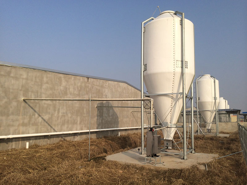 Pig project case(圖1)